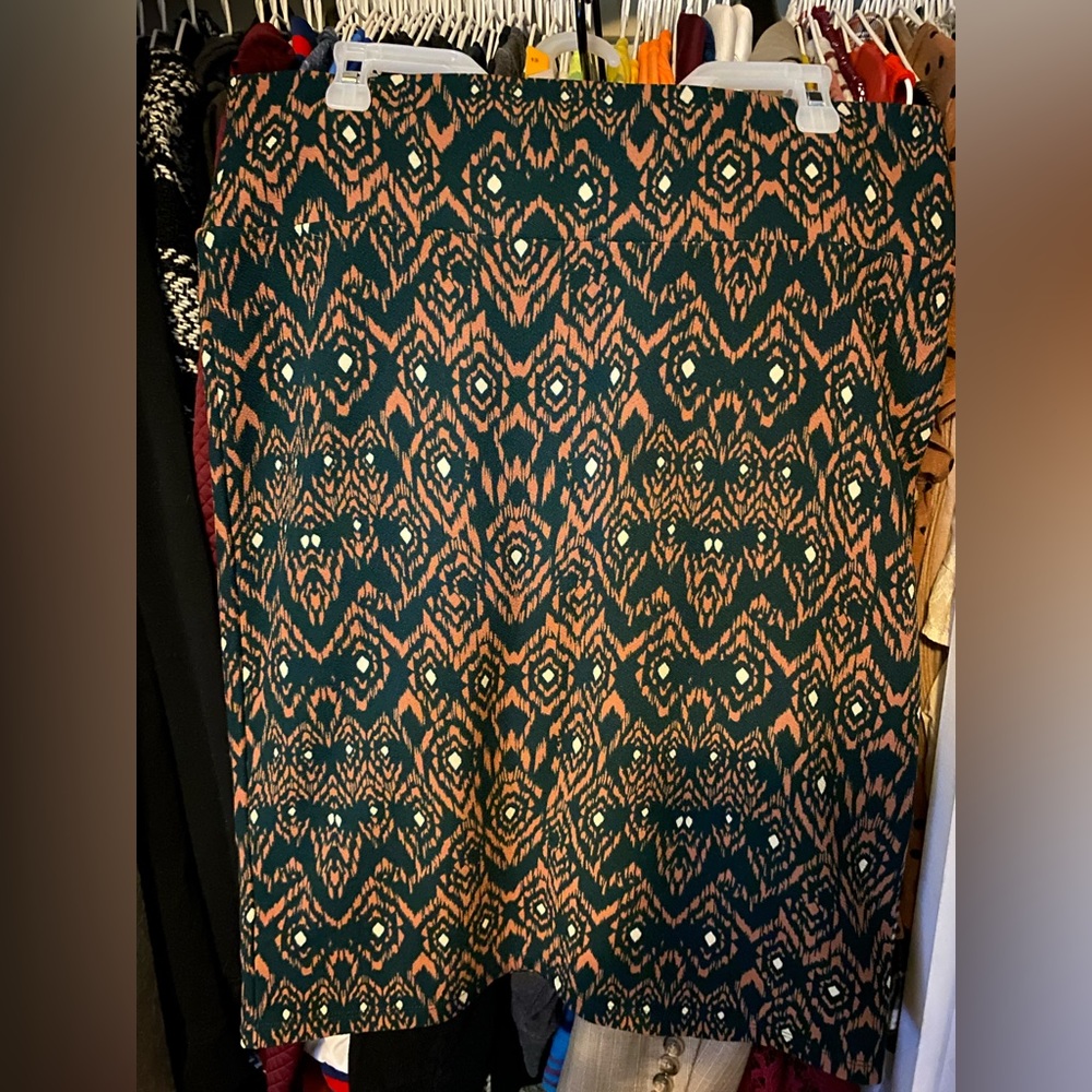 Modest Lula Roe stretchy skirt